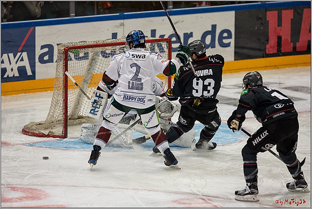 DEL, Koelner Haie - Augsburger Panther, 13.01.2017